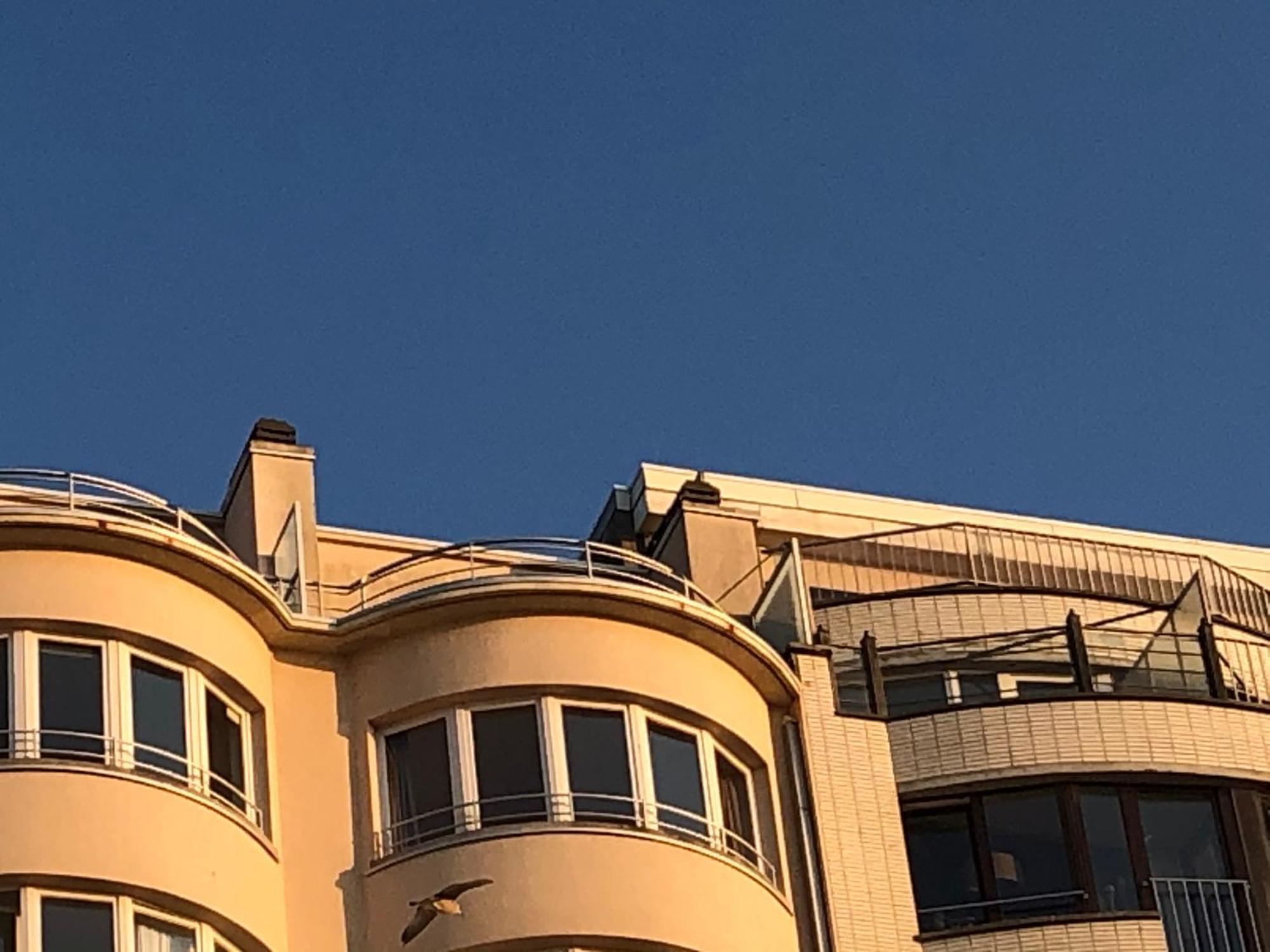 El Mirador Penthouse Paris Apartment Ostend Luaran gambar